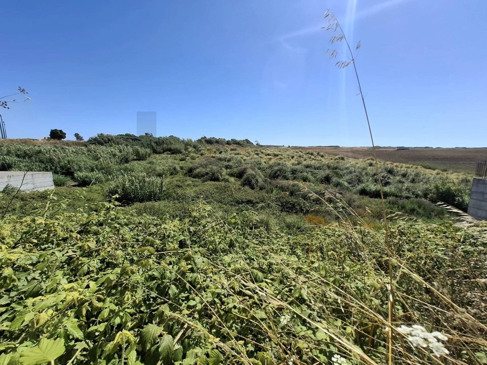 Terreno para Venda em Encarnação Foto 4