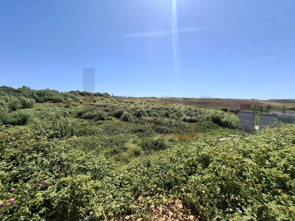 Terreno para Venda em Encarnação Foto 7