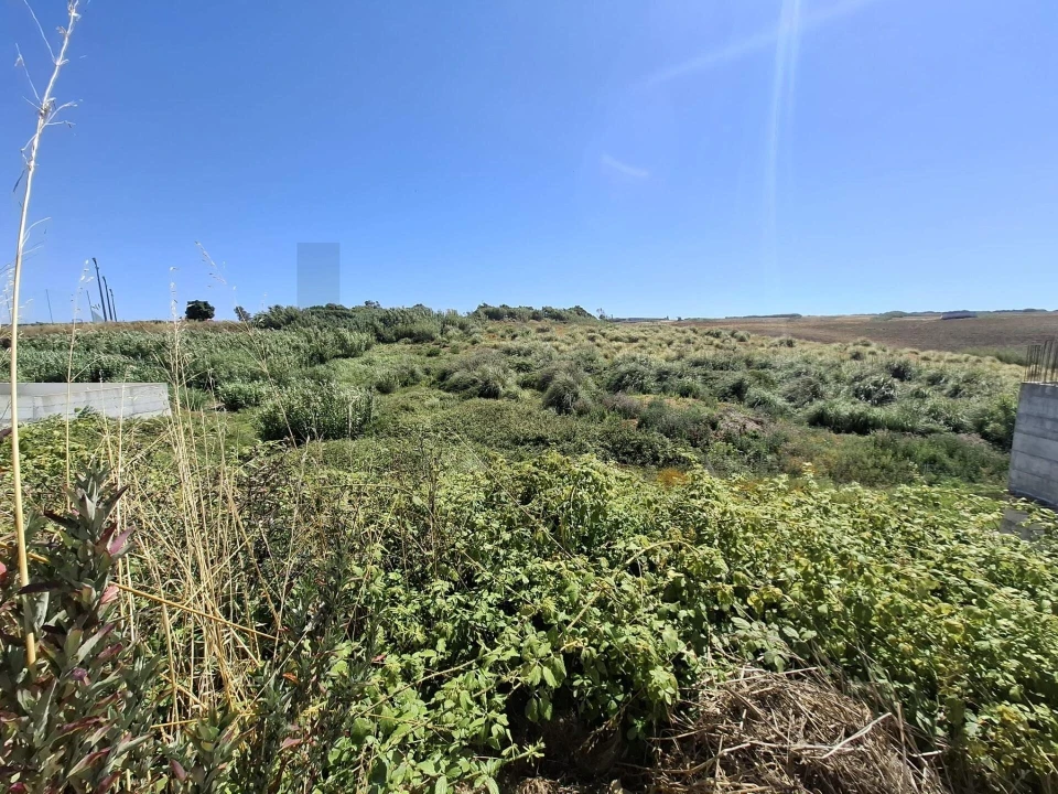 Terreno para Venda em Encarnação Foto 5