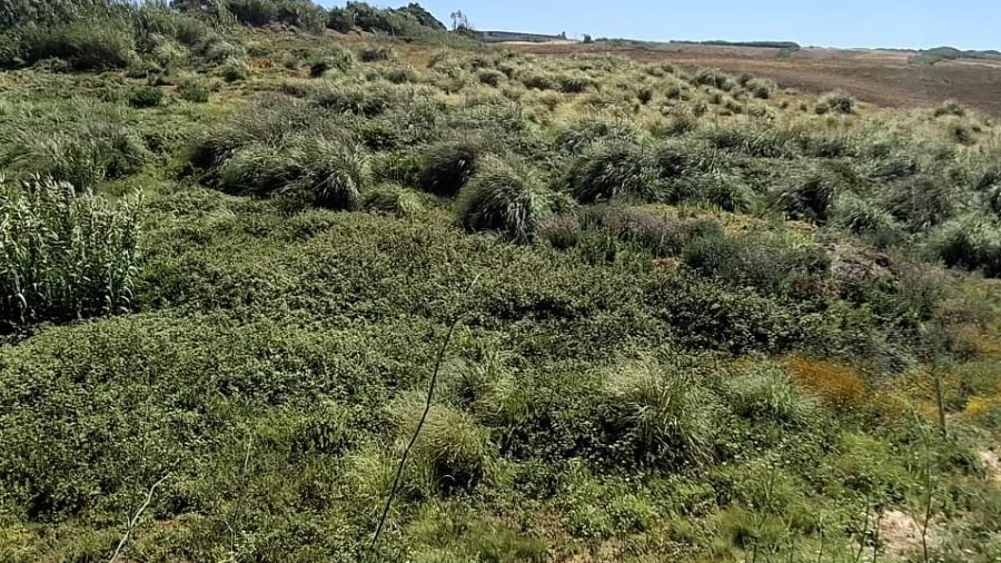 Terreno para Venda em Encarnação