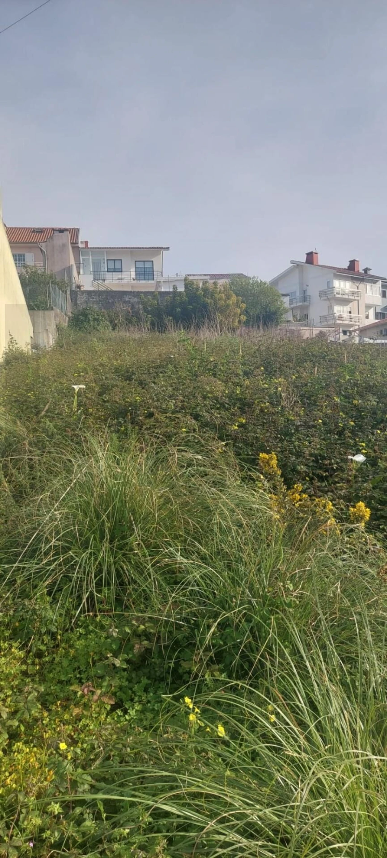 Terreno para Venda em Canidelo Foto 3