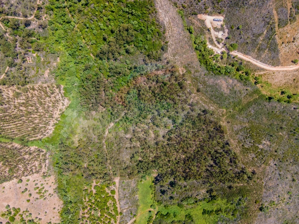 Terreno Agricola ou Rústico para Venda em Aljezur Foto 3