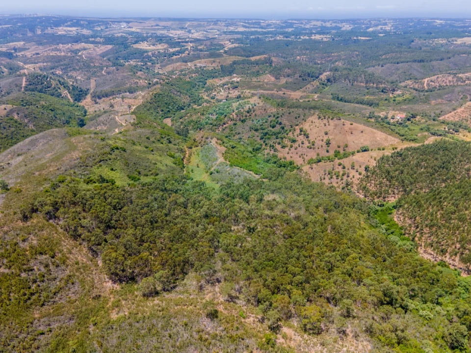 Terreno Agricola ou Rústico para Venda em Aljezur Foto 11