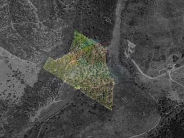 Terreno Agricola ou Rústico para Venda em Aljezur