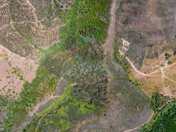 Terreno Agricola ou Rústico para Venda em Aljezur