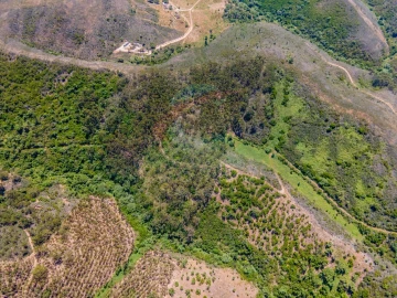 Terreno Agricola ou Rústico para Venda em Aljezur