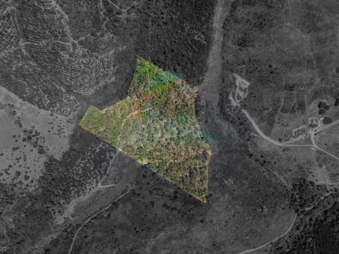 Terreno Agricola ou Rústico para Venda em Aljezur