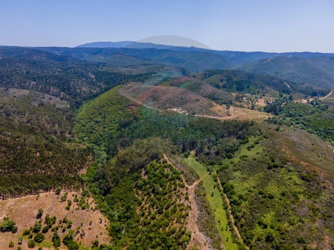 Terreno Agricola ou Rústico para Venda em Aljezur Foto 6