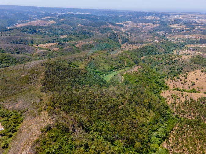 Terreno Agricola ou Rústico para Venda em Aljezur Foto 10