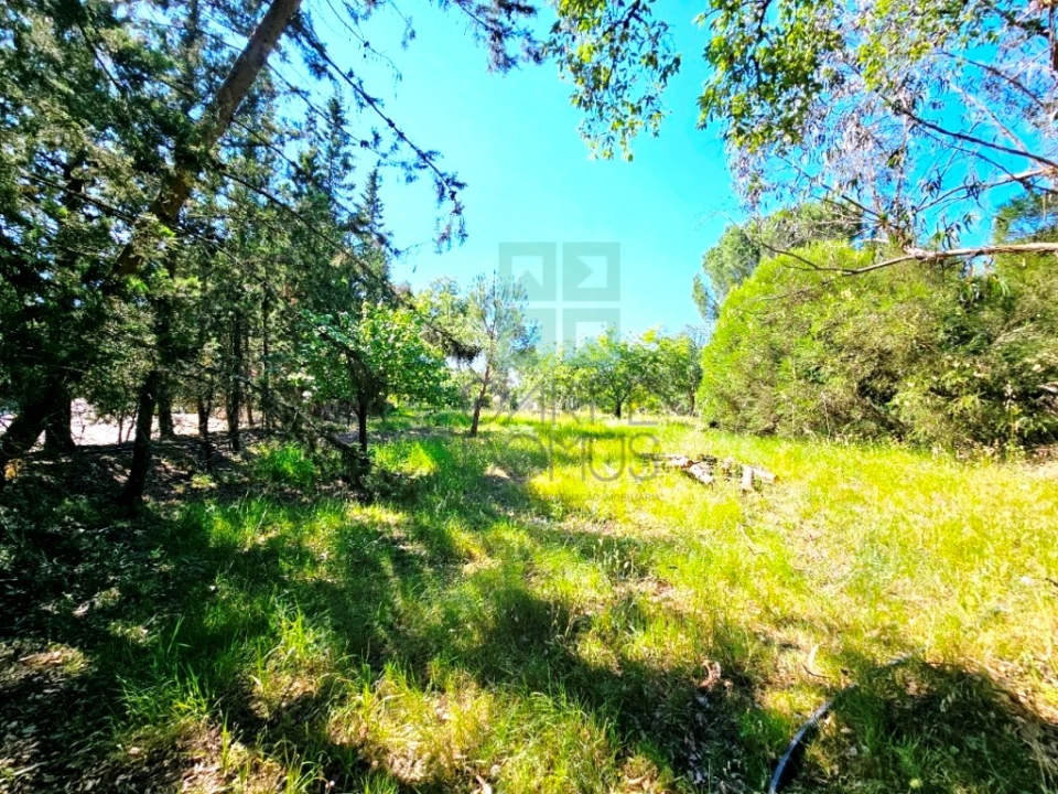 Moradia T5 para Venda em Santo Estêvão Foto 49
