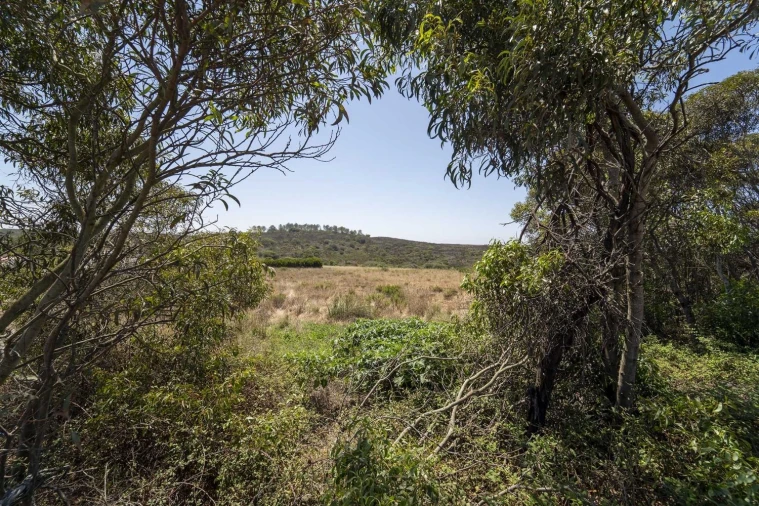 Terreno para Venda em Aljezur Foto 2