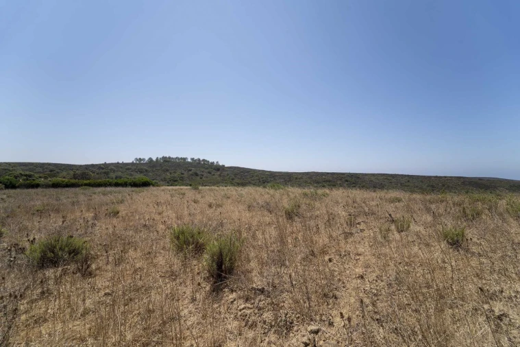 Terreno para Venda em Aljezur Foto 13