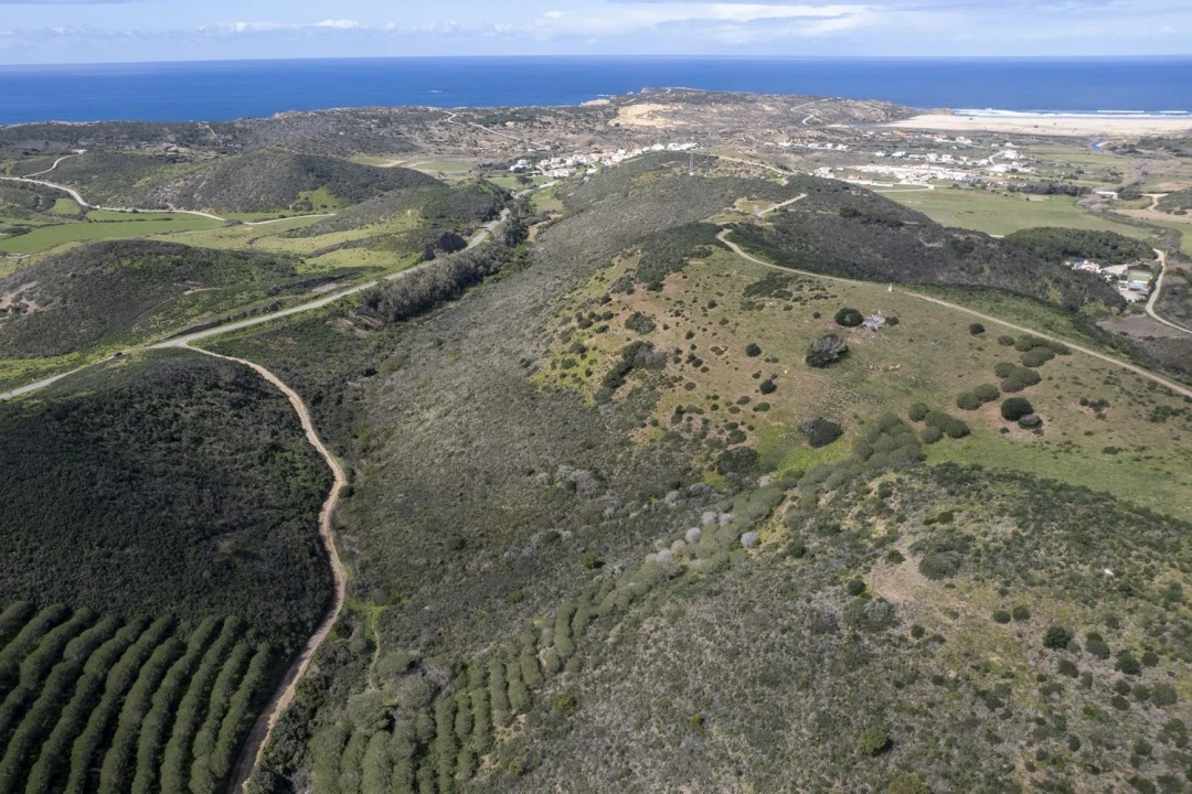 Terreno Agricola ou Rústico para Venda em Aljezur Foto 8