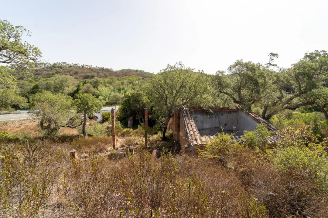 Terreno para Venda em Aljezur Foto 3