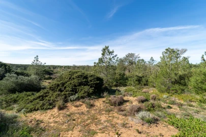 Terreno Agricola ou Rústico para Venda em Aljezur