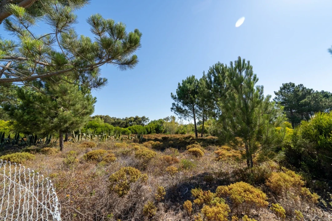 Terreno para Venda em Aljezur Foto 5