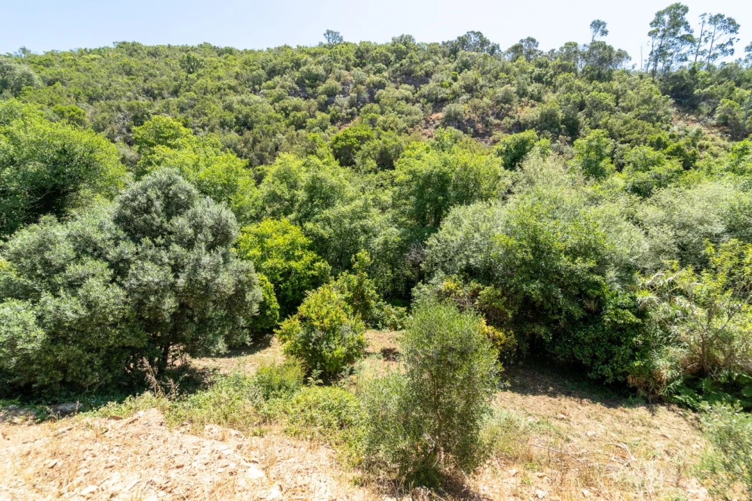 Quinta T3 para Venda em Aljezur Foto 30