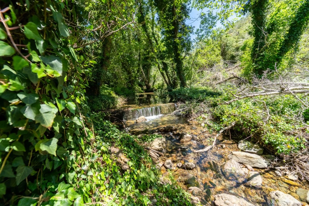 Quinta T3 para Venda em Aljezur Foto 6