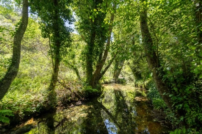 Quinta T3 para Venda em Aljezur
