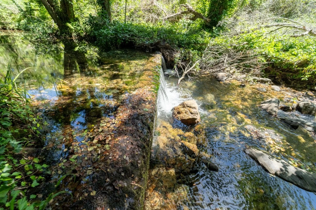 Quinta T3 para Venda em Aljezur Foto 27