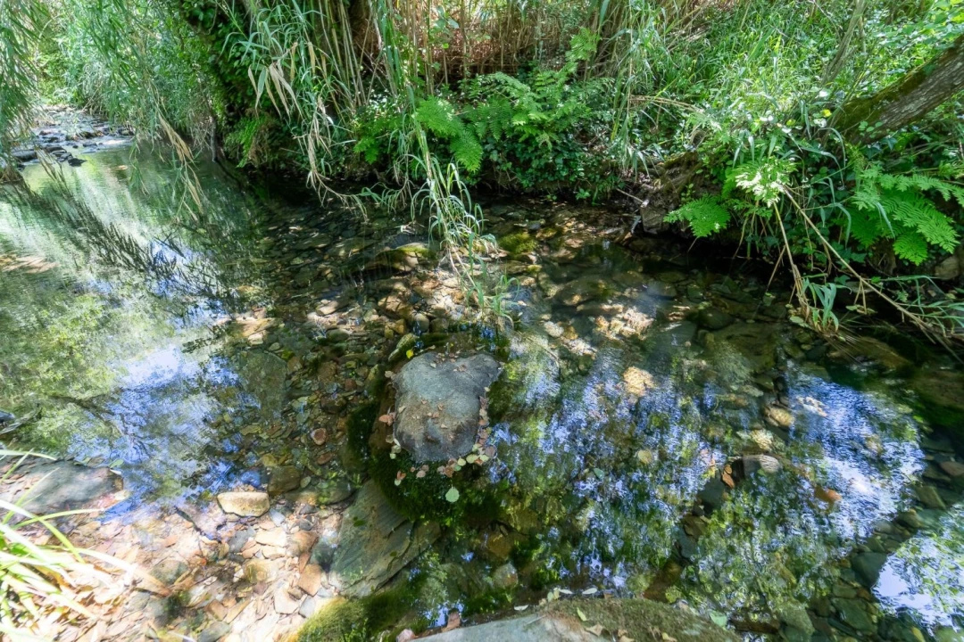 Quinta T3 para Venda em Aljezur Foto 24