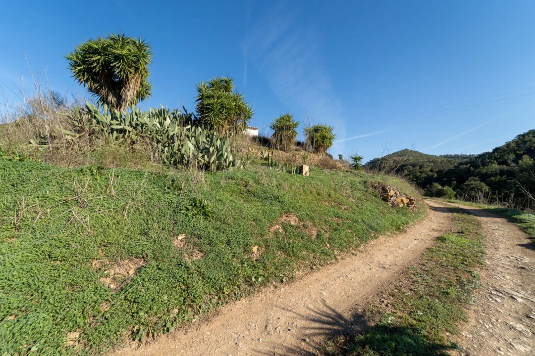 Armazém para Venda em Aljezur Foto 16