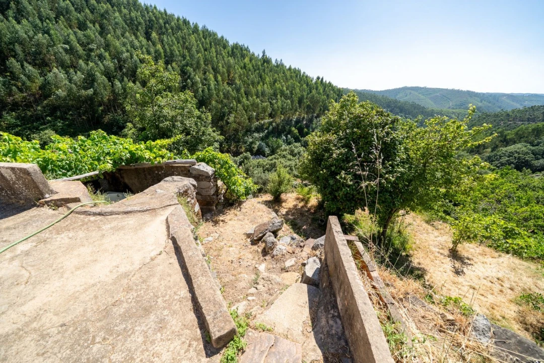 Moradia para Venda em Alferce Foto 8
