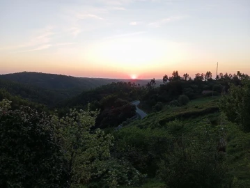 Moradia para Venda em Alferce