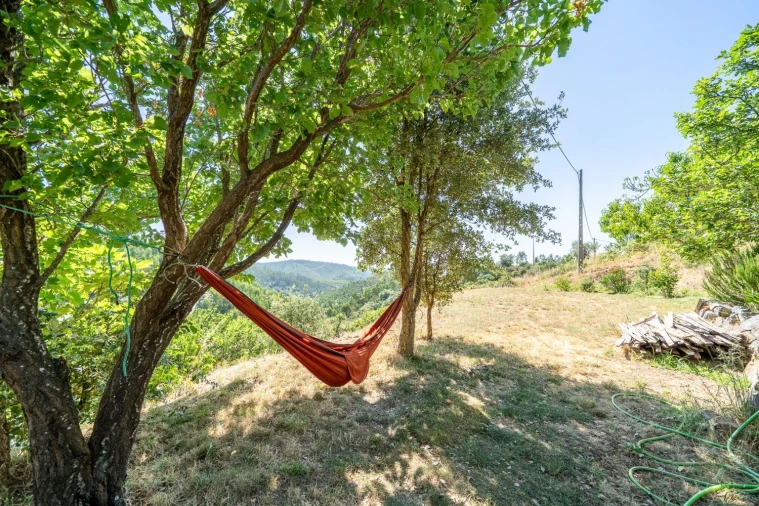 Moradia para Venda em Alferce Foto 5