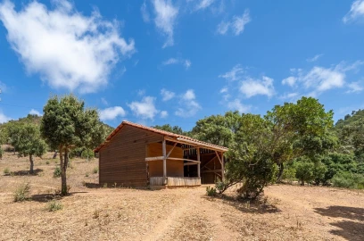 Quinta T4 para Venda em Aljezur