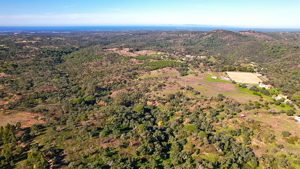 Terreno para Venda em Abela Foto 5