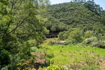 Quinta T5 para Venda em Aljezur