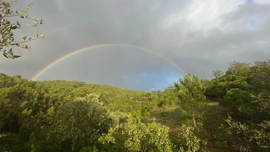 Quinta T5 para Venda em Aljezur Foto 49