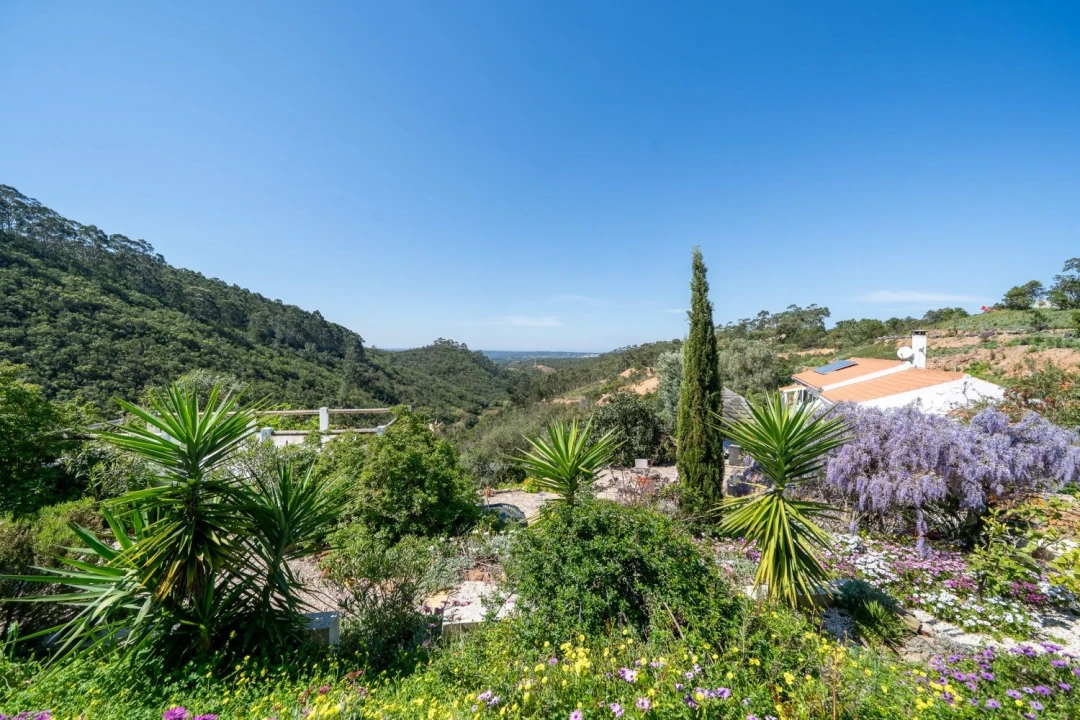 Quinta T5 para Venda em Aljezur Foto 1