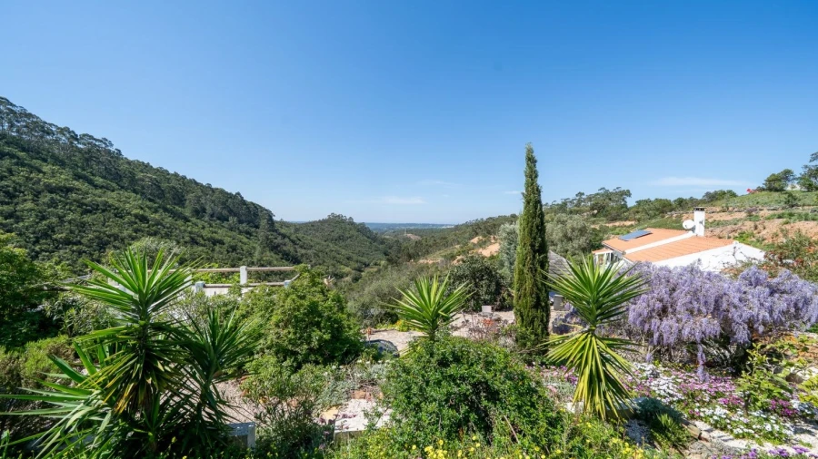 Quinta T5 para Venda em Aljezur
