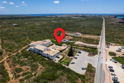 Negócio para Venda em Barão de São Miguel