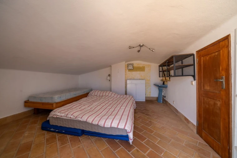 Negócio para Venda em Barão de São Miguel Foto 17