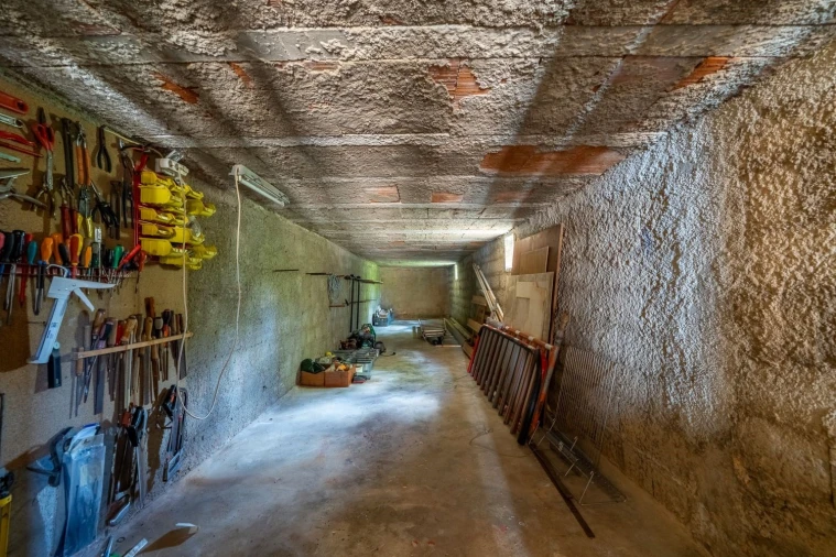 Negócio para Venda em Barão de São Miguel Foto 19