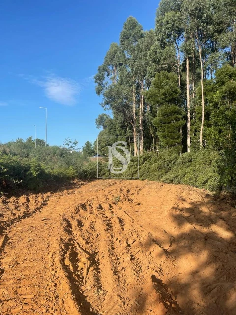 Terreno para Venda em Santa Maria da Feira, Travanca, Sanfins e Espargo