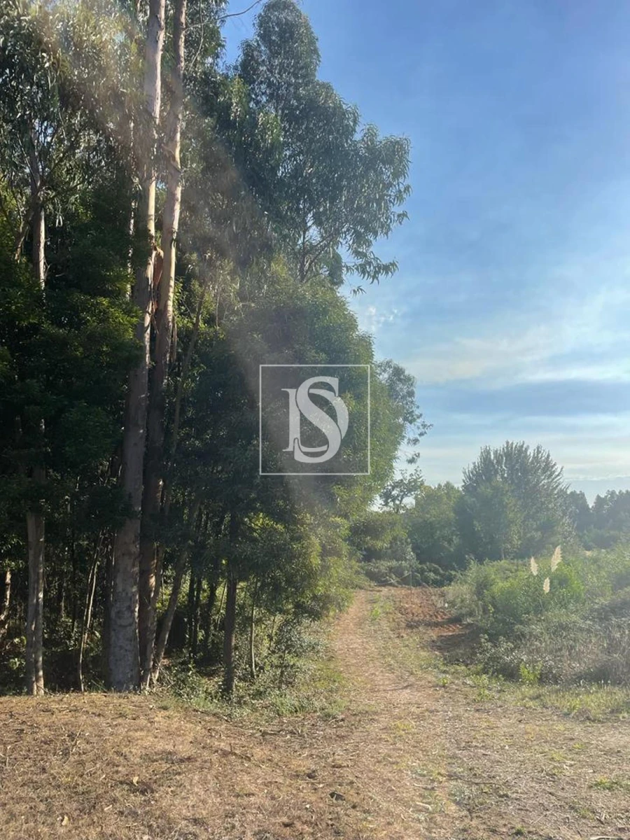 Terreno para Venda em Santa Maria da Feira, Travanca, Sanfins e Espargo Foto 11