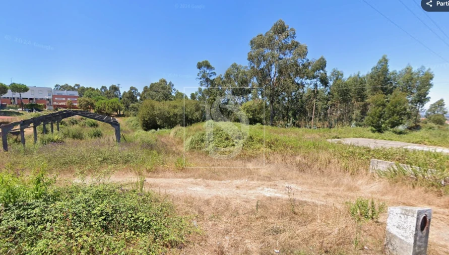 Terreno para Venda em Folgosa Foto 4