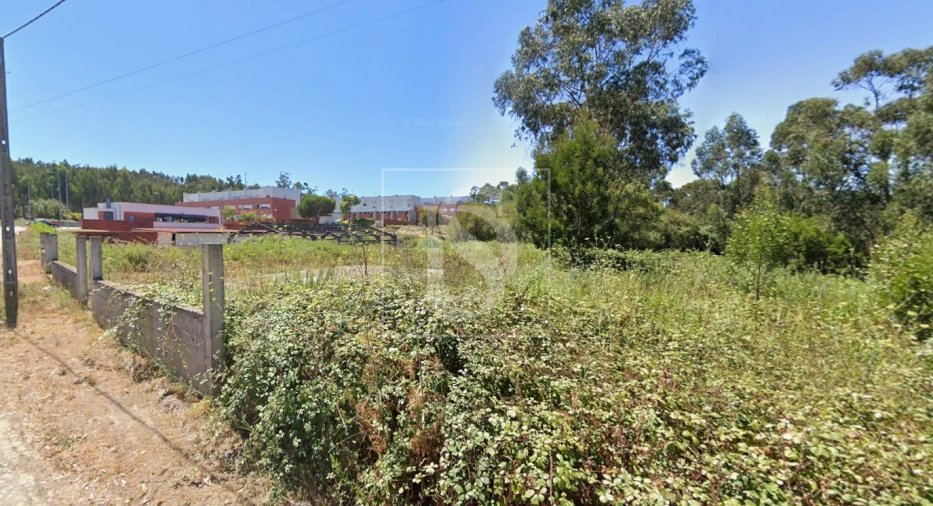 Terreno para Venda em Folgosa Foto 6
