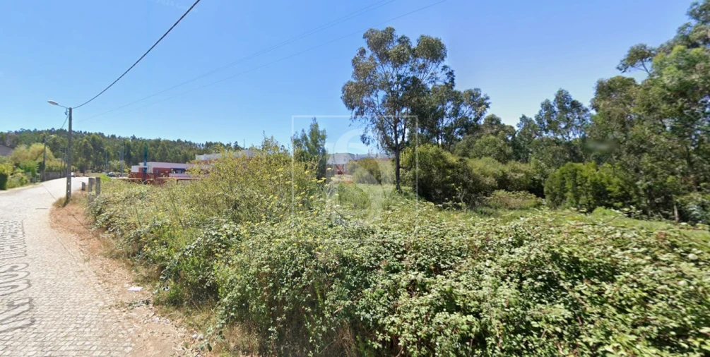 Terreno para Venda em Folgosa Foto 3