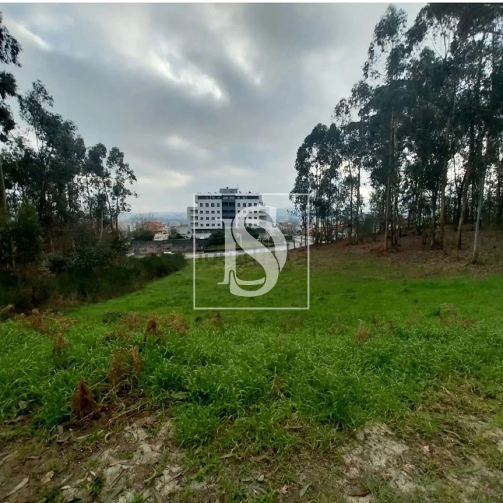 Terreno para Venda em Paredes Foto 7