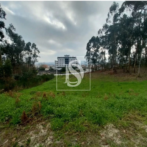 Terreno para Venda em Paredes Foto 7