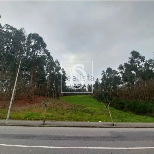Terreno para Venda em Paredes Foto 5