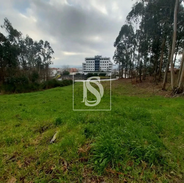 Terreno para Venda em Paredes Foto 6