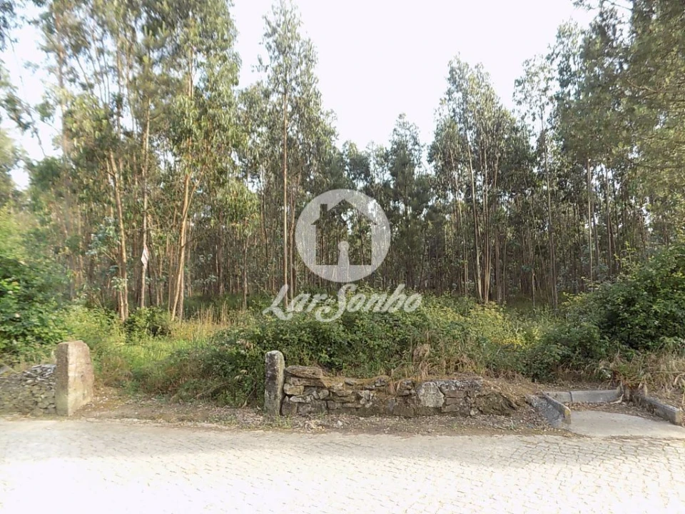 Terreno Agricola ou Rústico para Venda em Balazar Foto 1