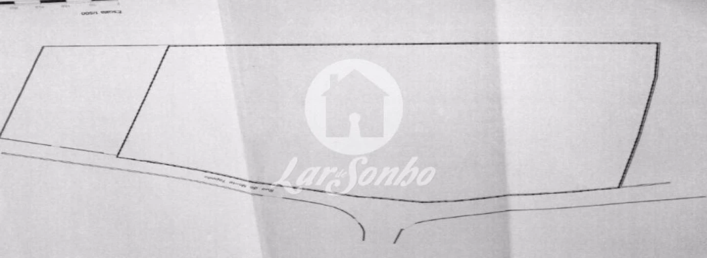 Terreno Agricola ou Rústico para Venda em Balazar Foto 3