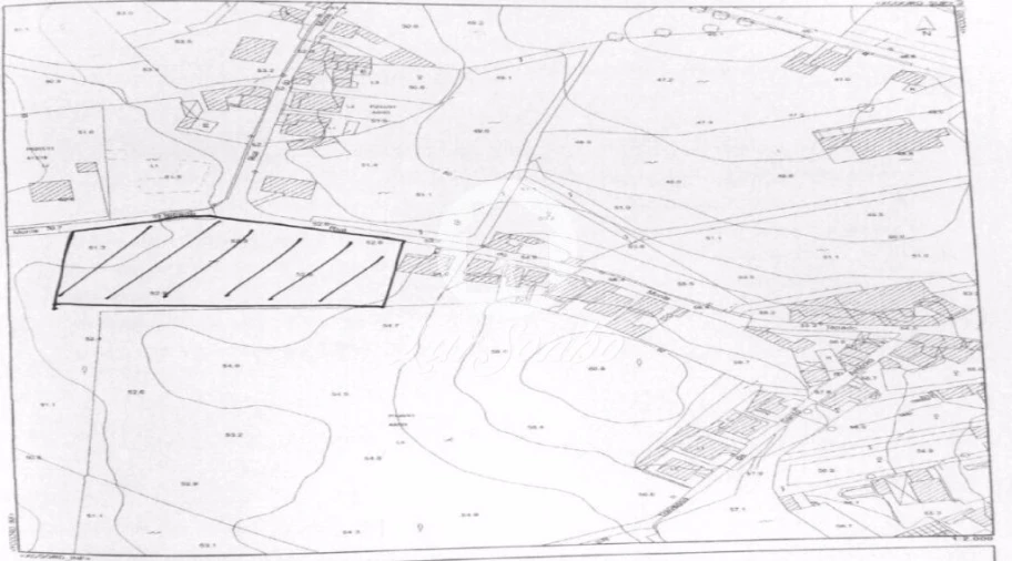 Terreno Agricola ou Rústico para Venda em Balazar Foto 4